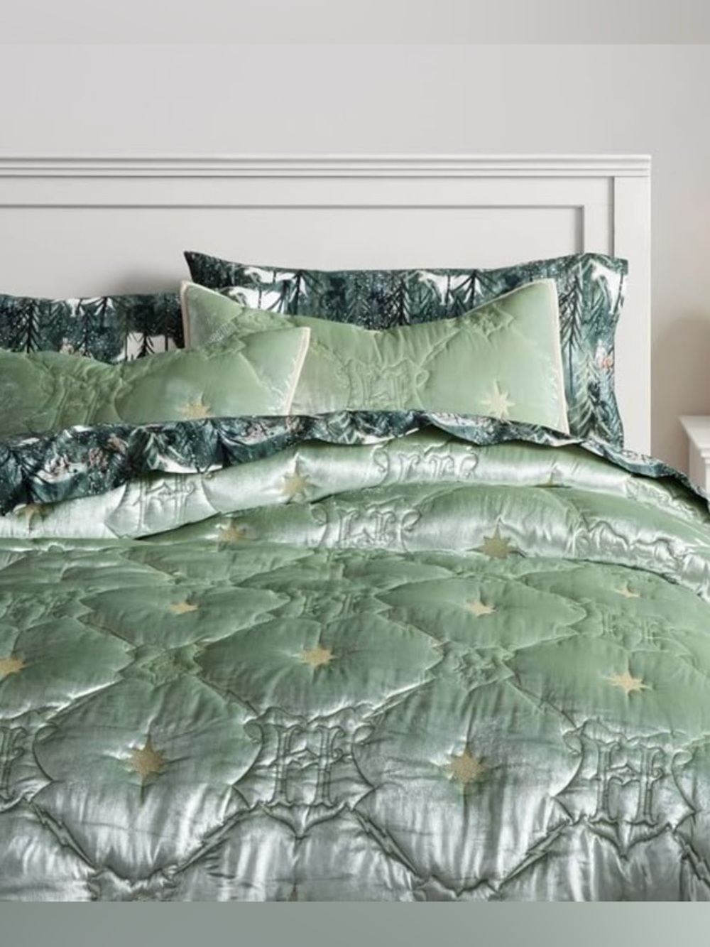Pottery Barn Teen x Harry Potter Mystical Velvet Quilt Sage reversible stars